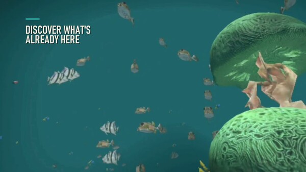 Shipwreck Discovery Dive In trailer thumbnail