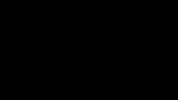 Don't Stop In Red Wood - Trailer trailer thumbnail