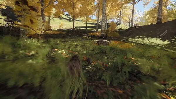 Developer Trailer trailer thumbnail
