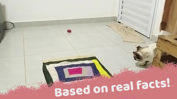 Mimi in Meowndering House Announcement Trailer trailer thumbnail