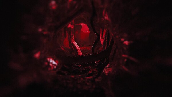 Lucid Falls – Announcement Trailer trailer thumbnail