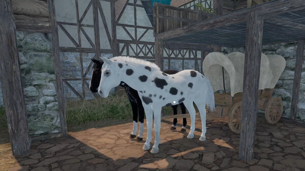 Medieval Horse Dealer Simulator Announcement Trailer trailer thumbnail