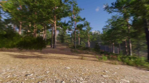 Forest Tower - Trailer 2 trailer thumbnail