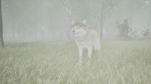 Become A Monarch Wolf trailer thumbnail