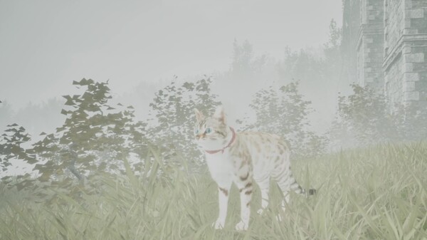 Become A Monarch cat trailer thumbnail