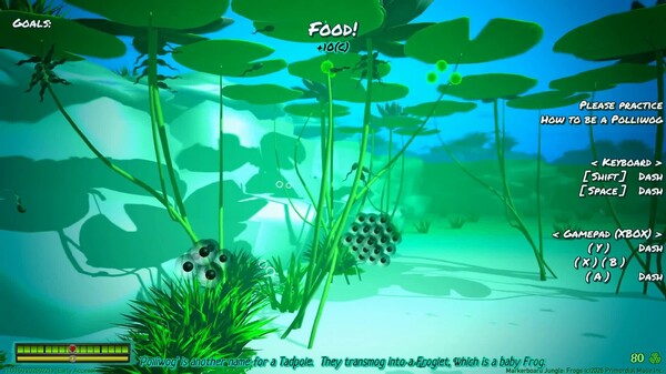 Tadpole gameplay trailer - Markerboard Jungle: Frogs trailer thumbnail