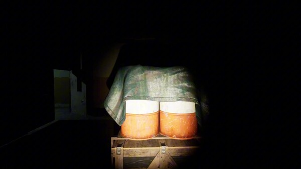 NoPeeking trailer thumbnail