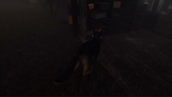 The Good Dog: Chasing Shadows - Early Access Trailer trailer thumbnail
