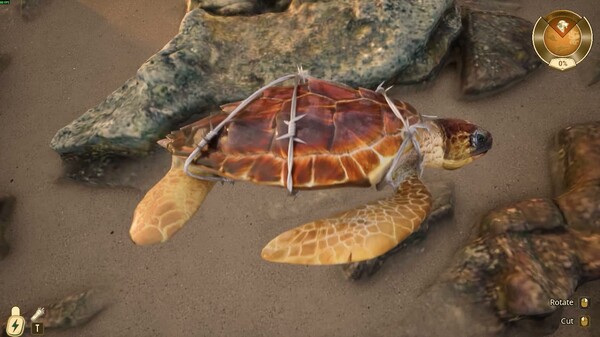 Restore Your Island is Out Now trailer thumbnail