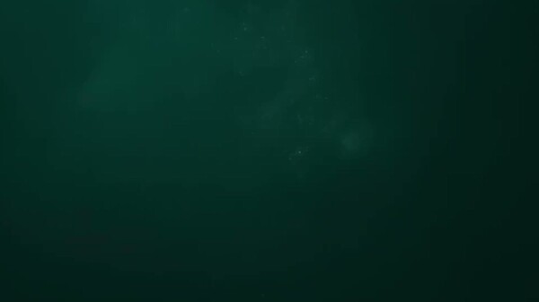 蚍蜉 trailer thumbnail