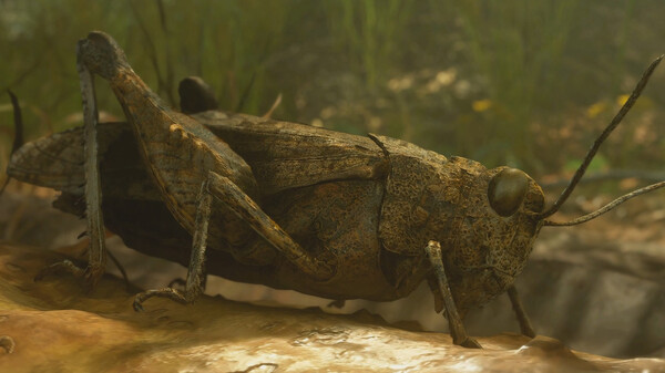 Insect Worlds Trailer Q2 2026 trailer thumbnail