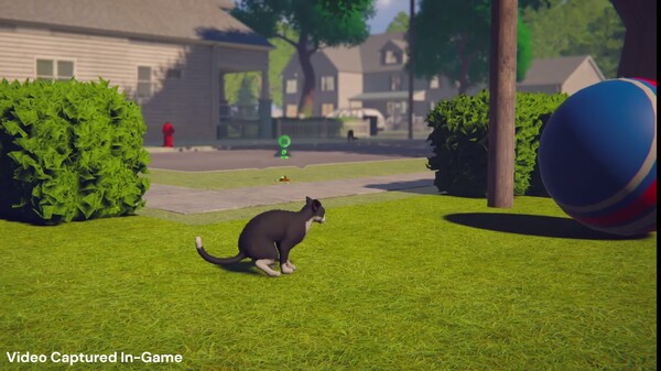 Whose Lawn Is It Anyway | Announcement Trailer trailer thumbnail