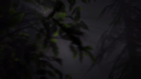 Echoes of Sin: Confusion – PreRelease Trailer trailer thumbnail