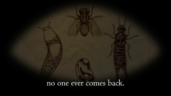 Welcome to the SPIDER HOTEL. trailer thumbnail