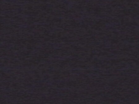 Freetown Forest Trailer trailer thumbnail