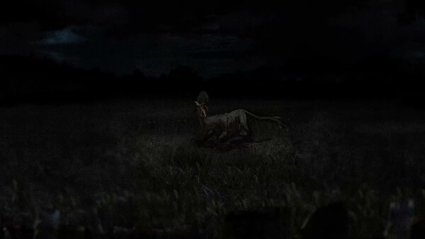 RUNT | Out Now Trailer trailer thumbnail