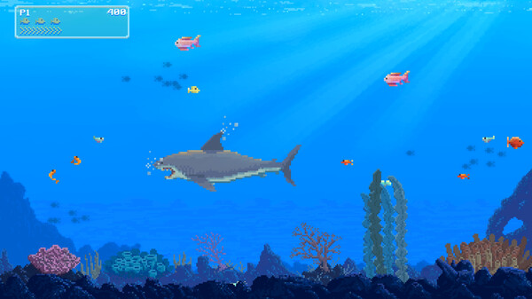 Watch Out: Shark! Trailer trailer thumbnail