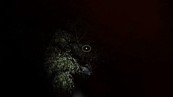 Pre Playtest Demo Trailer trailer thumbnail