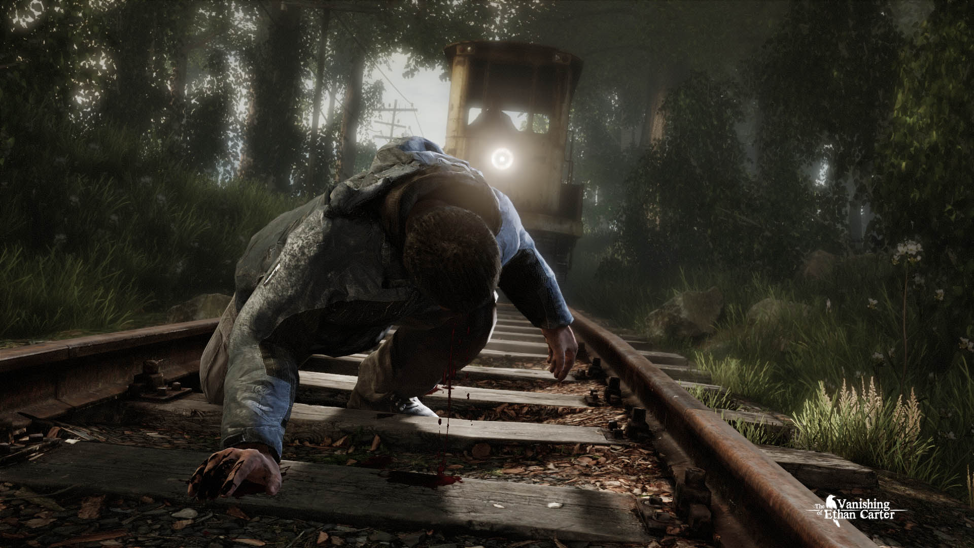 The Vanishing of Ethan Carter screenshot 1