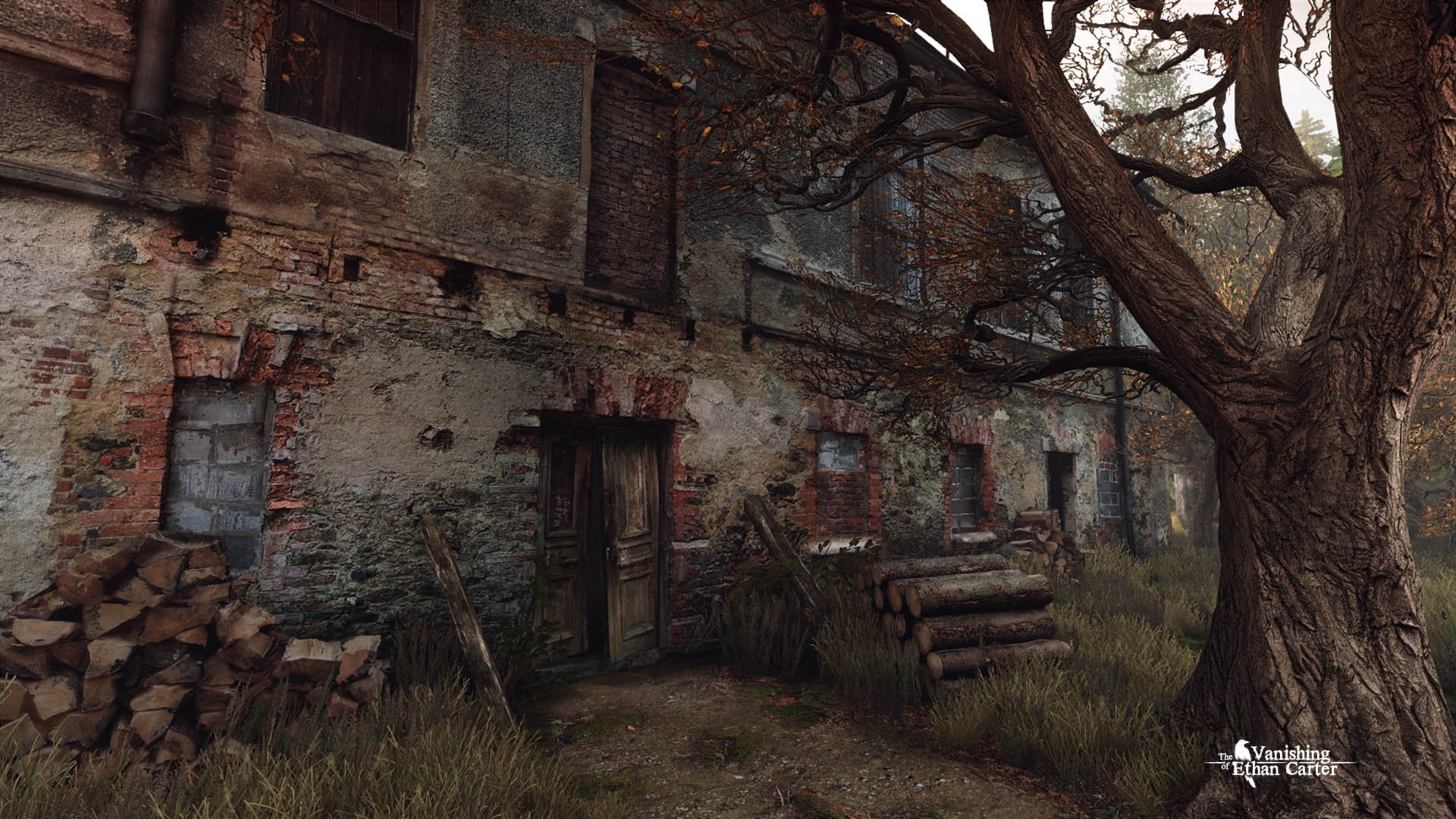 The Vanishing of Ethan Carter screenshot 2