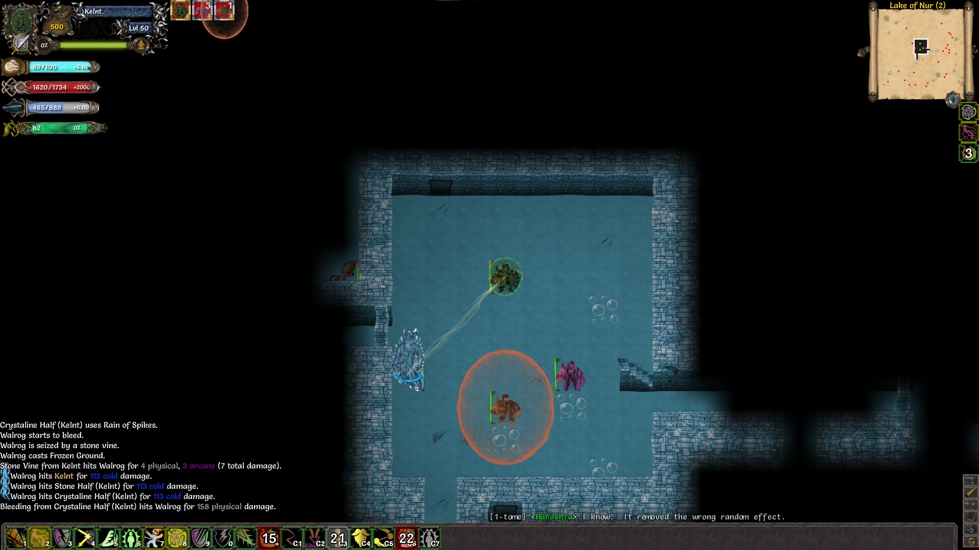 Tales of Maj'Eyal screenshot 19