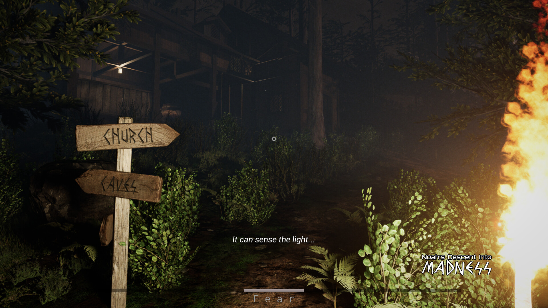 Noah's Descent into Madness screenshot 1
