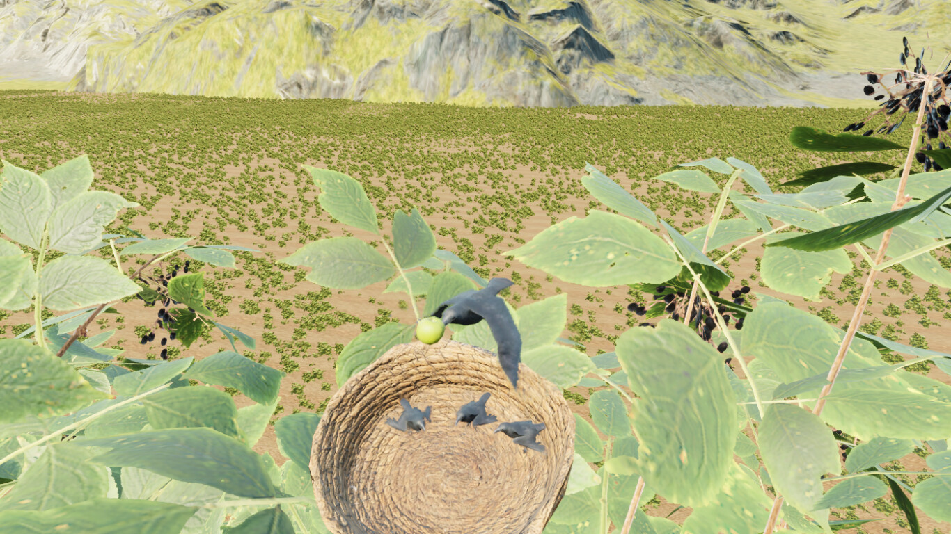 Raven Simulator screenshot 2
