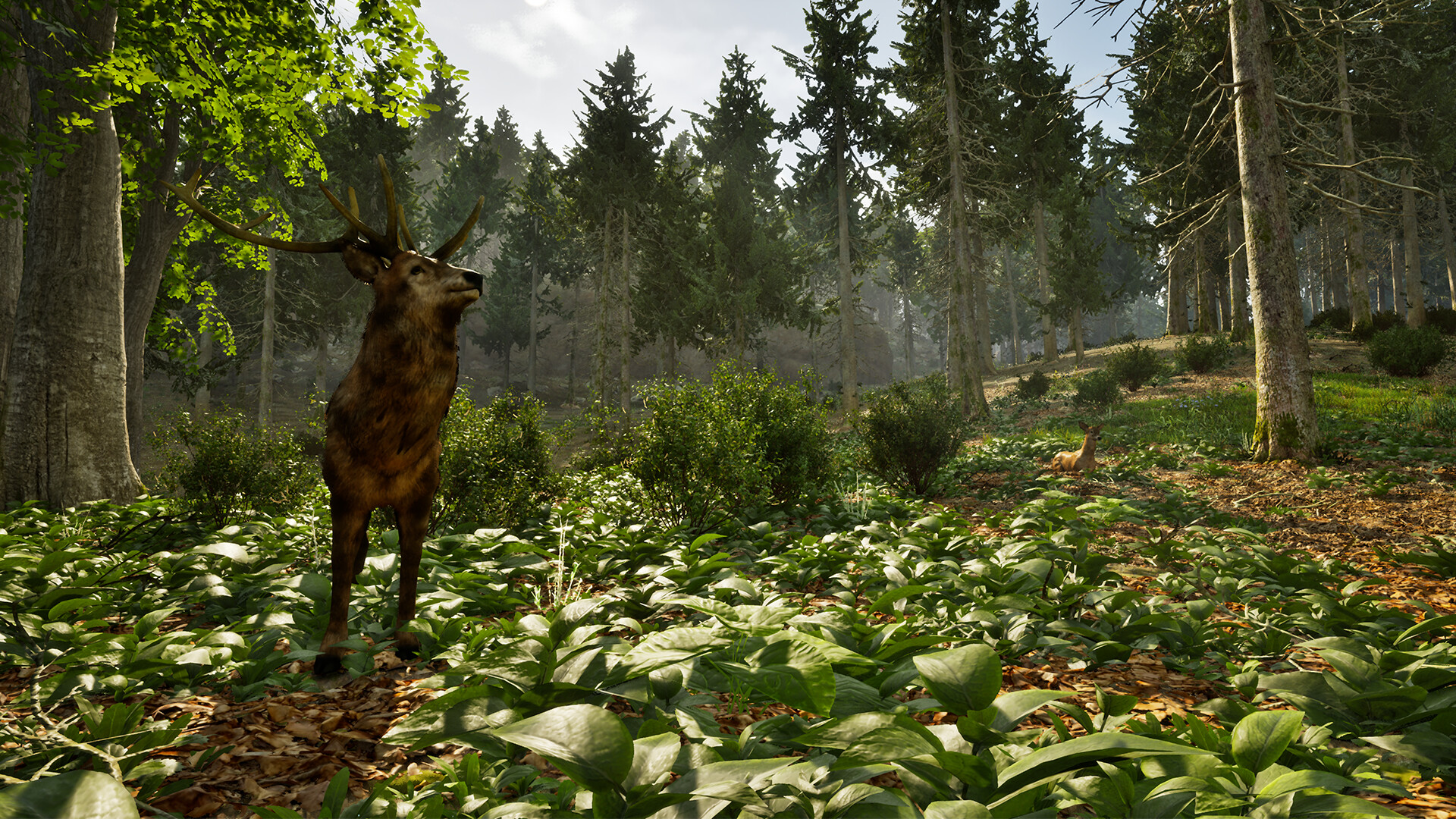 Park Ranger Simulator screenshot 9