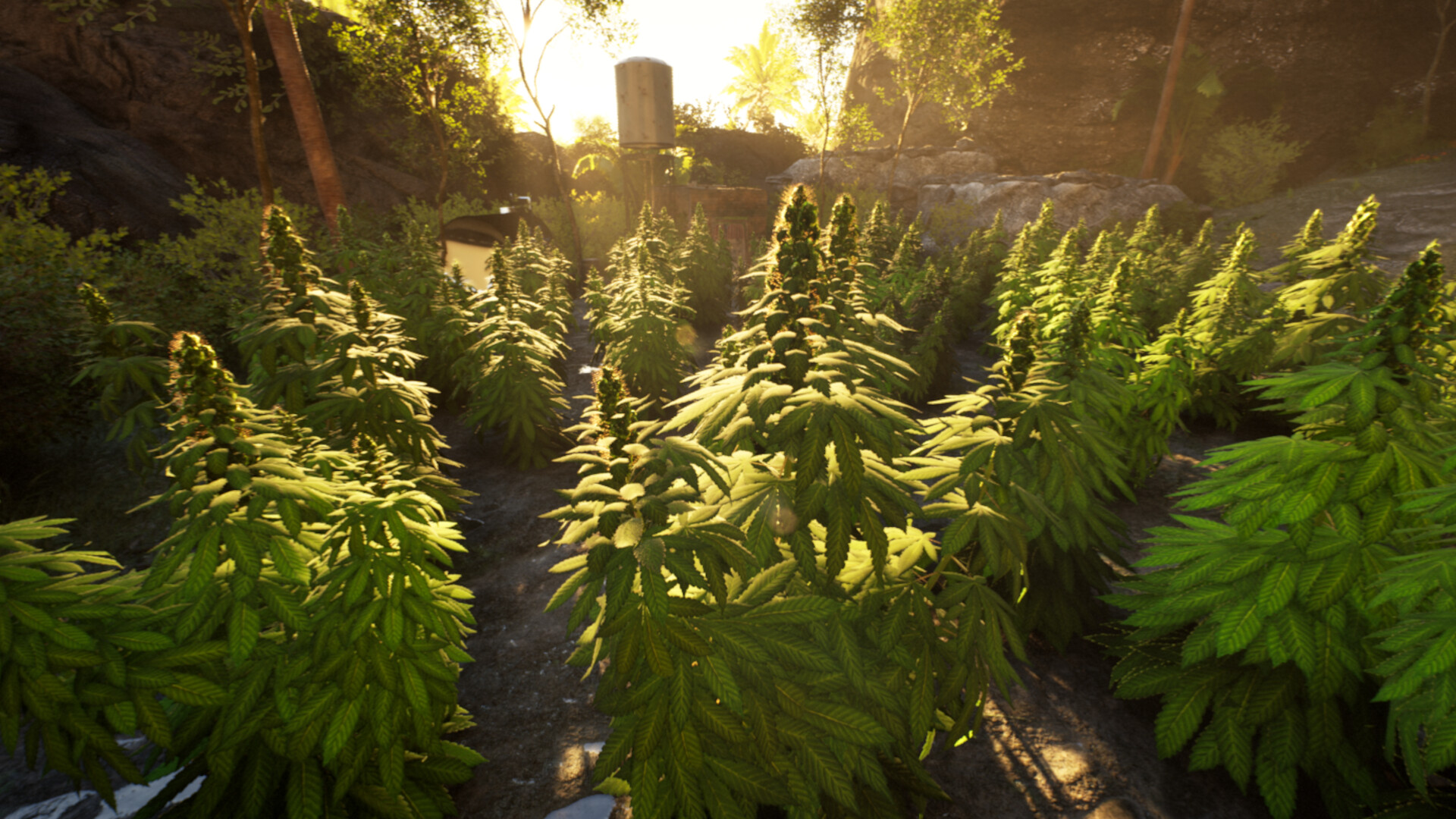 Weed Shop 4: Highland screenshot 4