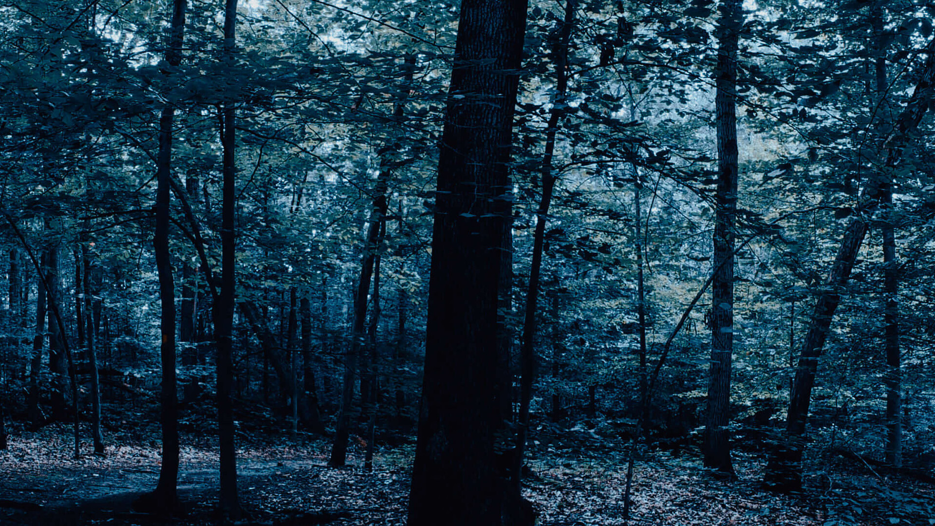 The Holyburn Witches screenshot 2