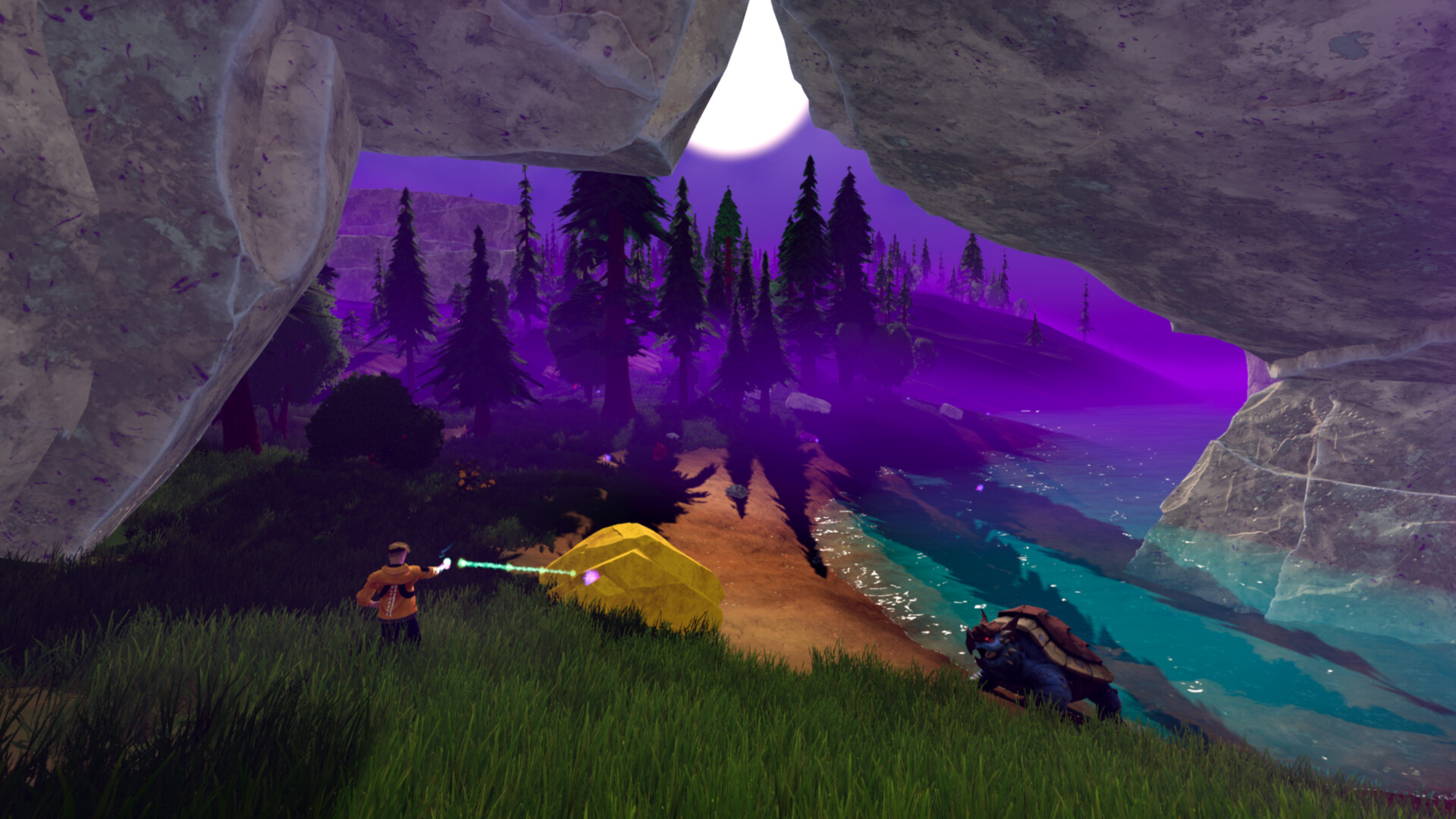 Wildsite screenshot 7