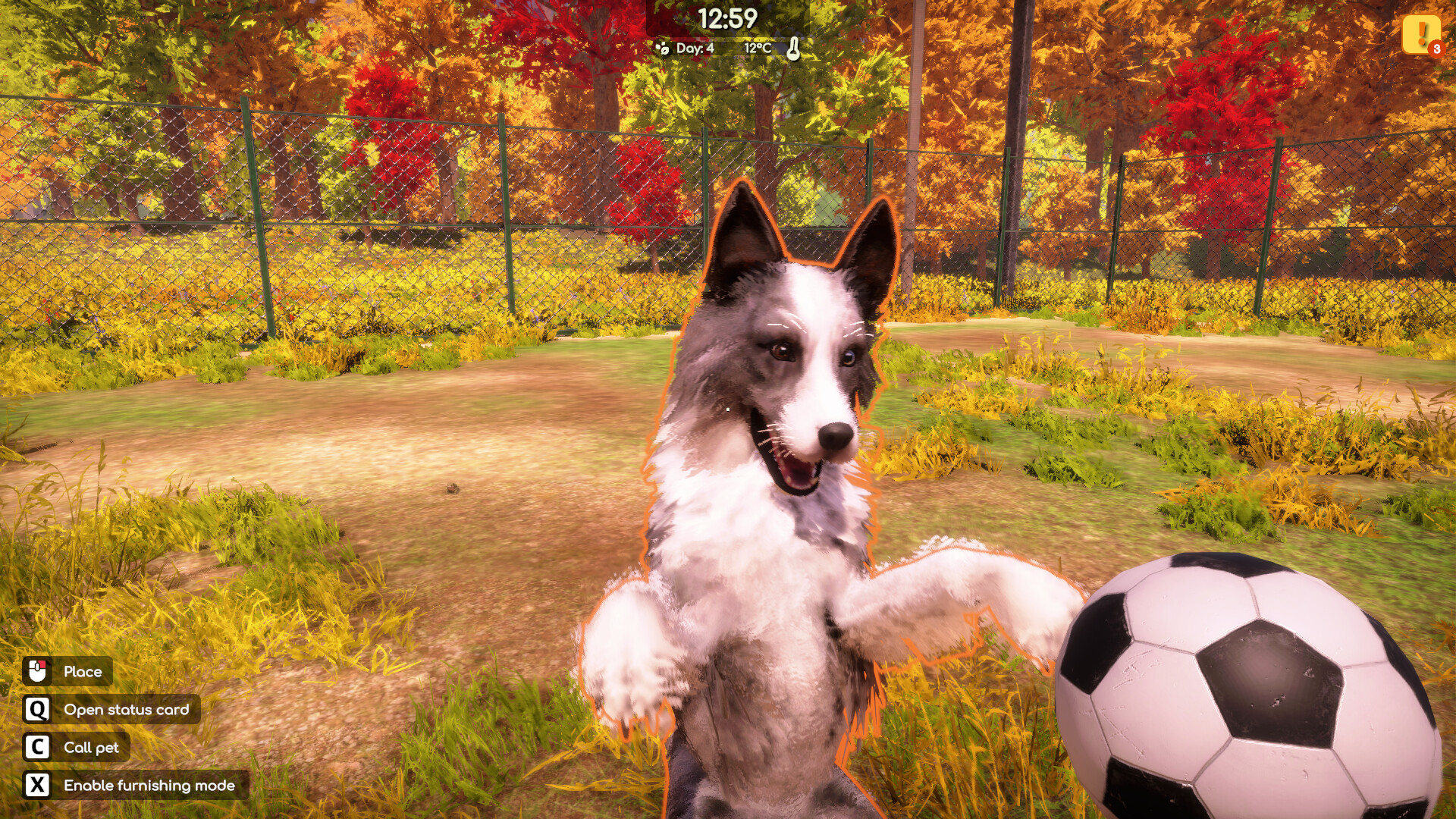 Animal Shelter 2 screenshot 17