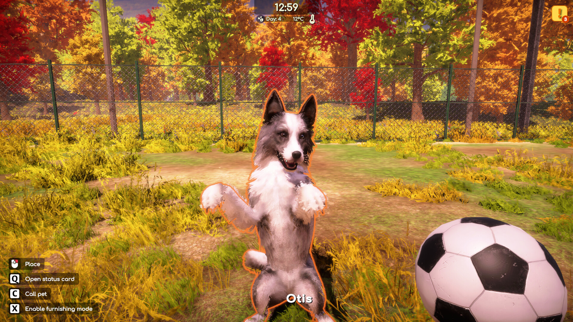 Animal Shelter 2 screenshot 7