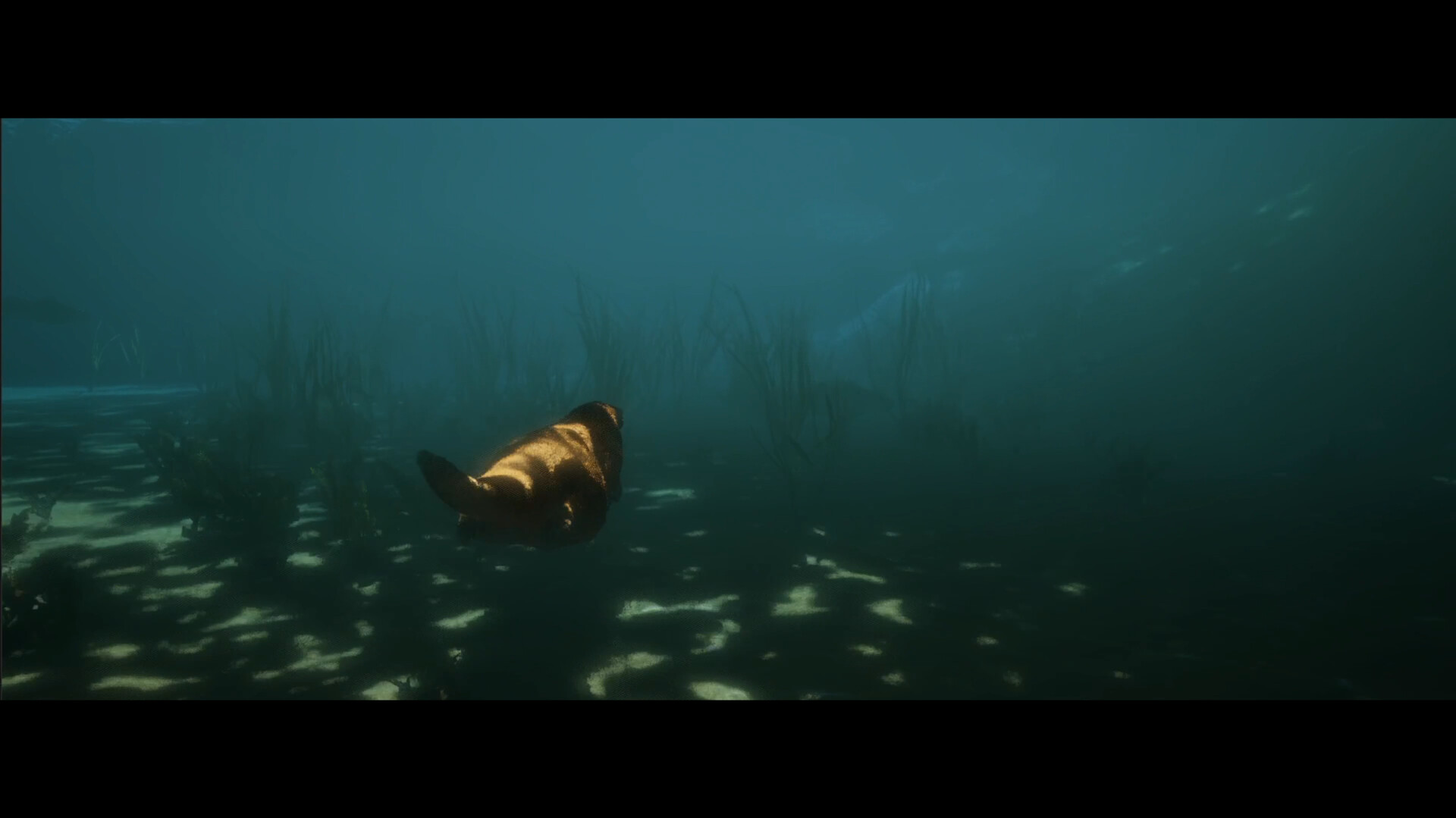 Dear, Lake screenshot 4
