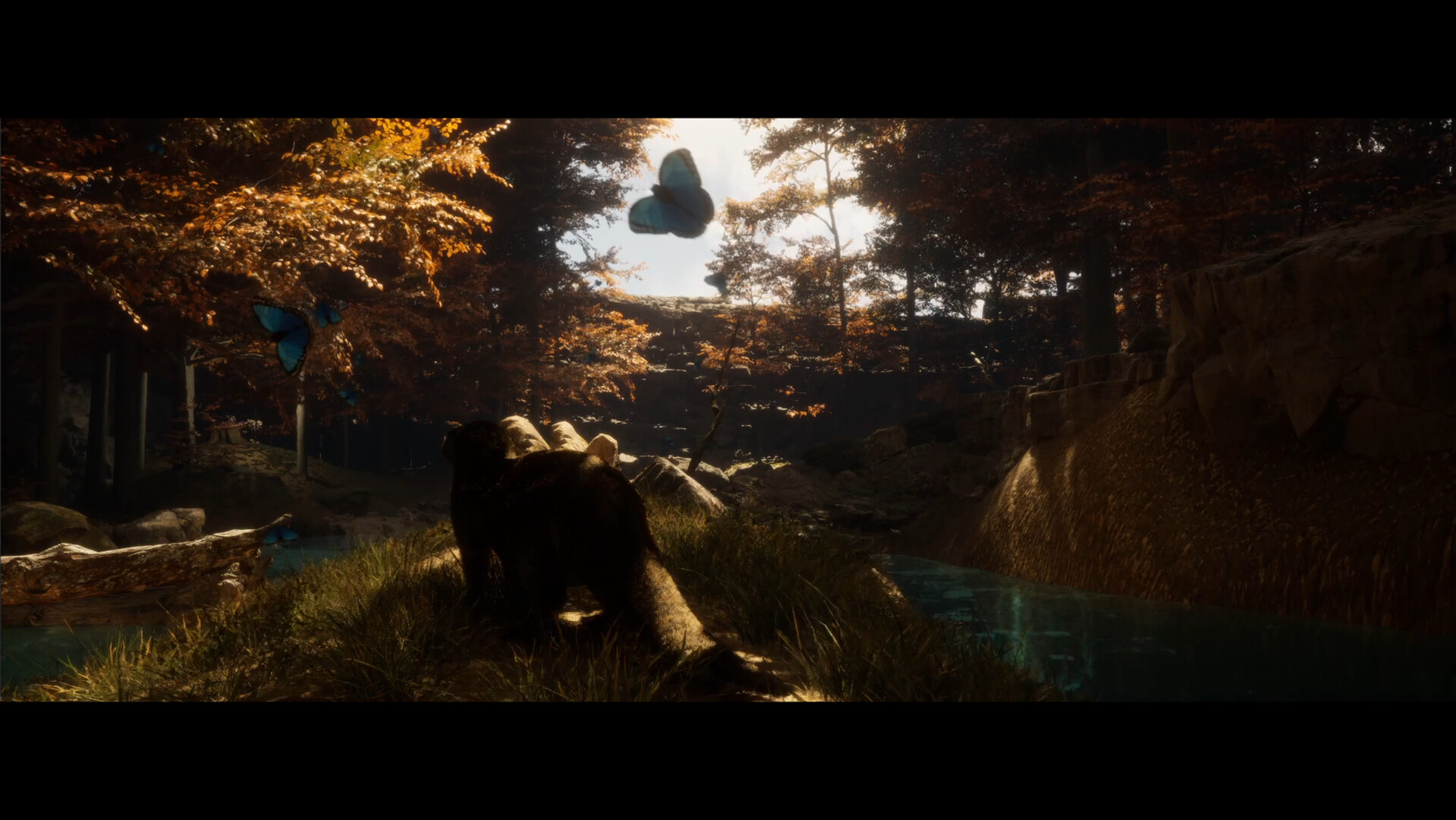 Dear, Lake screenshot 3