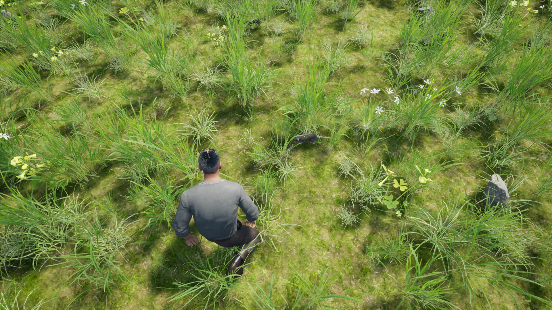 Statera: Aurum screenshot 3