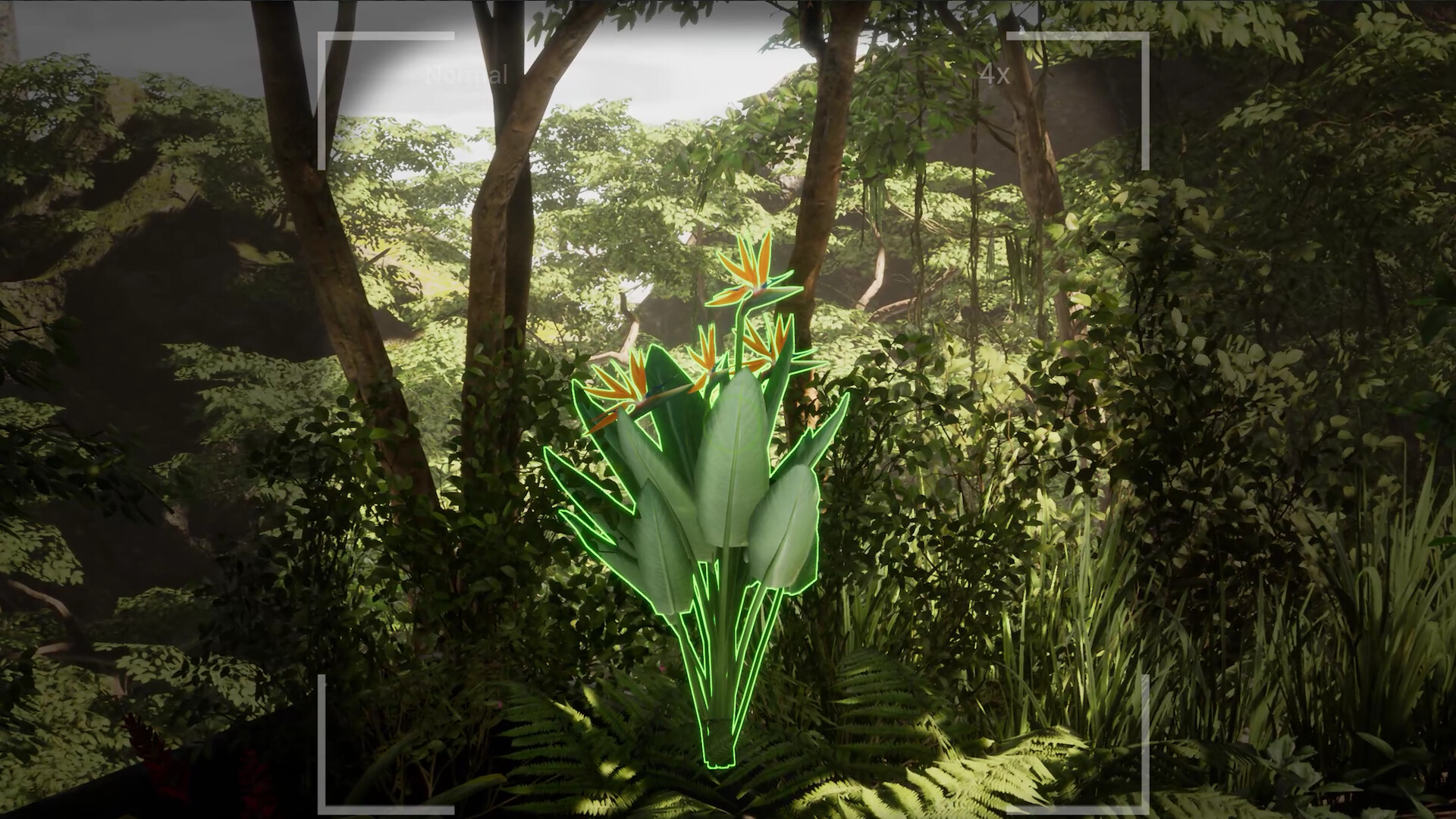 Morels: The Hunt 2 screenshot 16