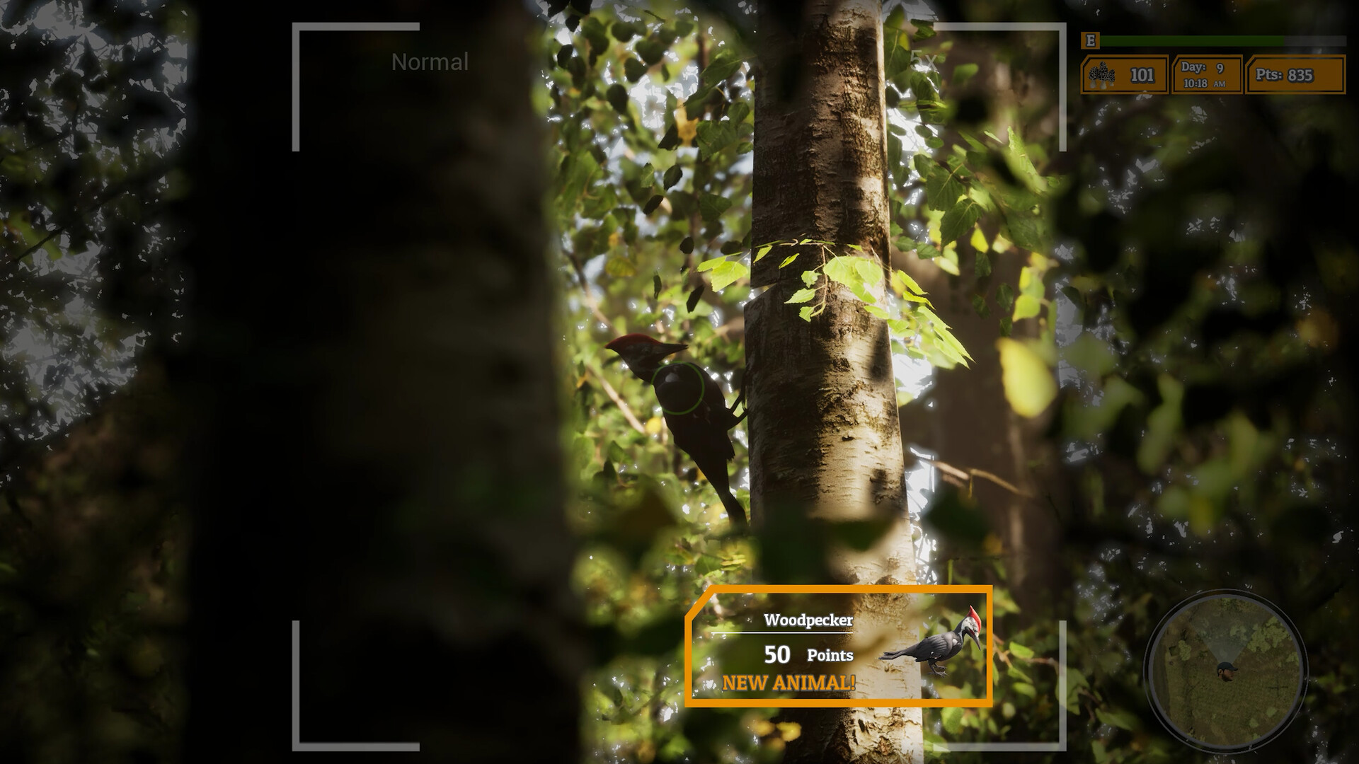 Morels: The Hunt 2 screenshot 5
