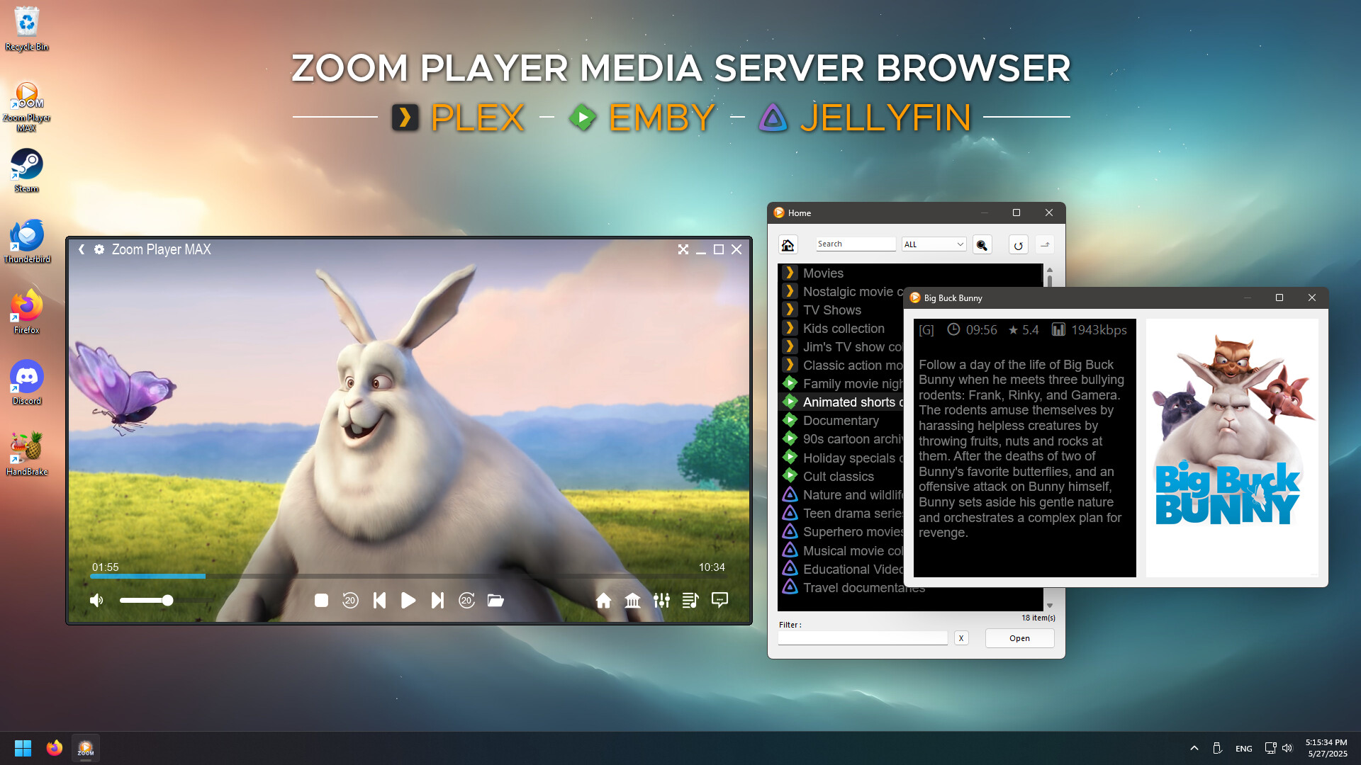 Zoom Player : Steam Edition screenshot 11