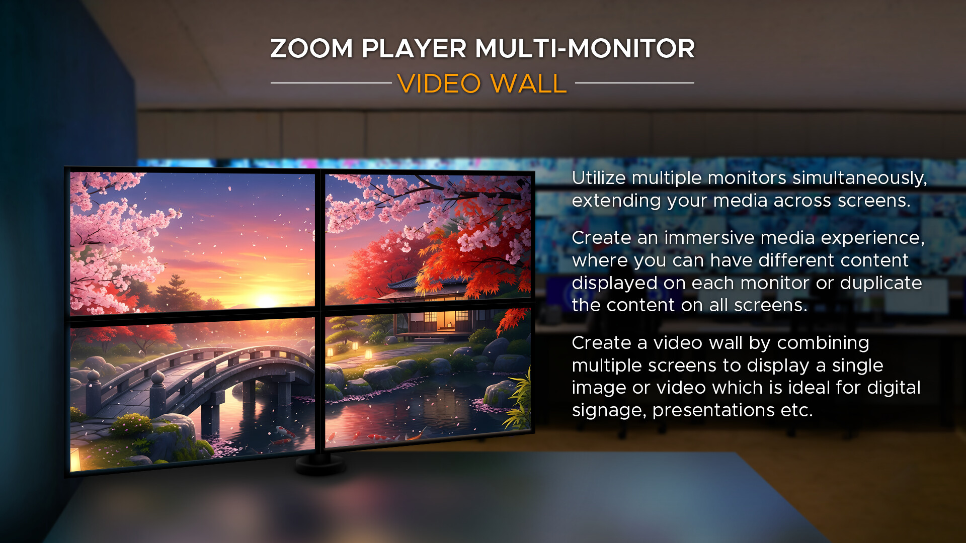 Zoom Player : Steam Edition screenshot 14