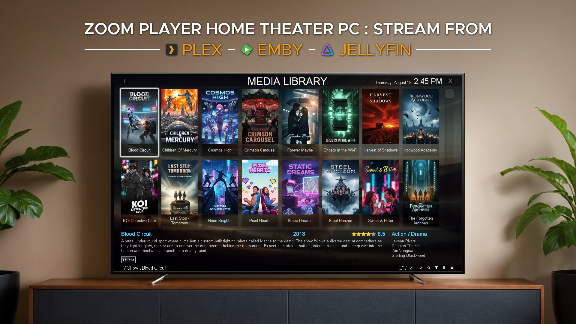 Zoom Player : Steam Edition screenshot 12