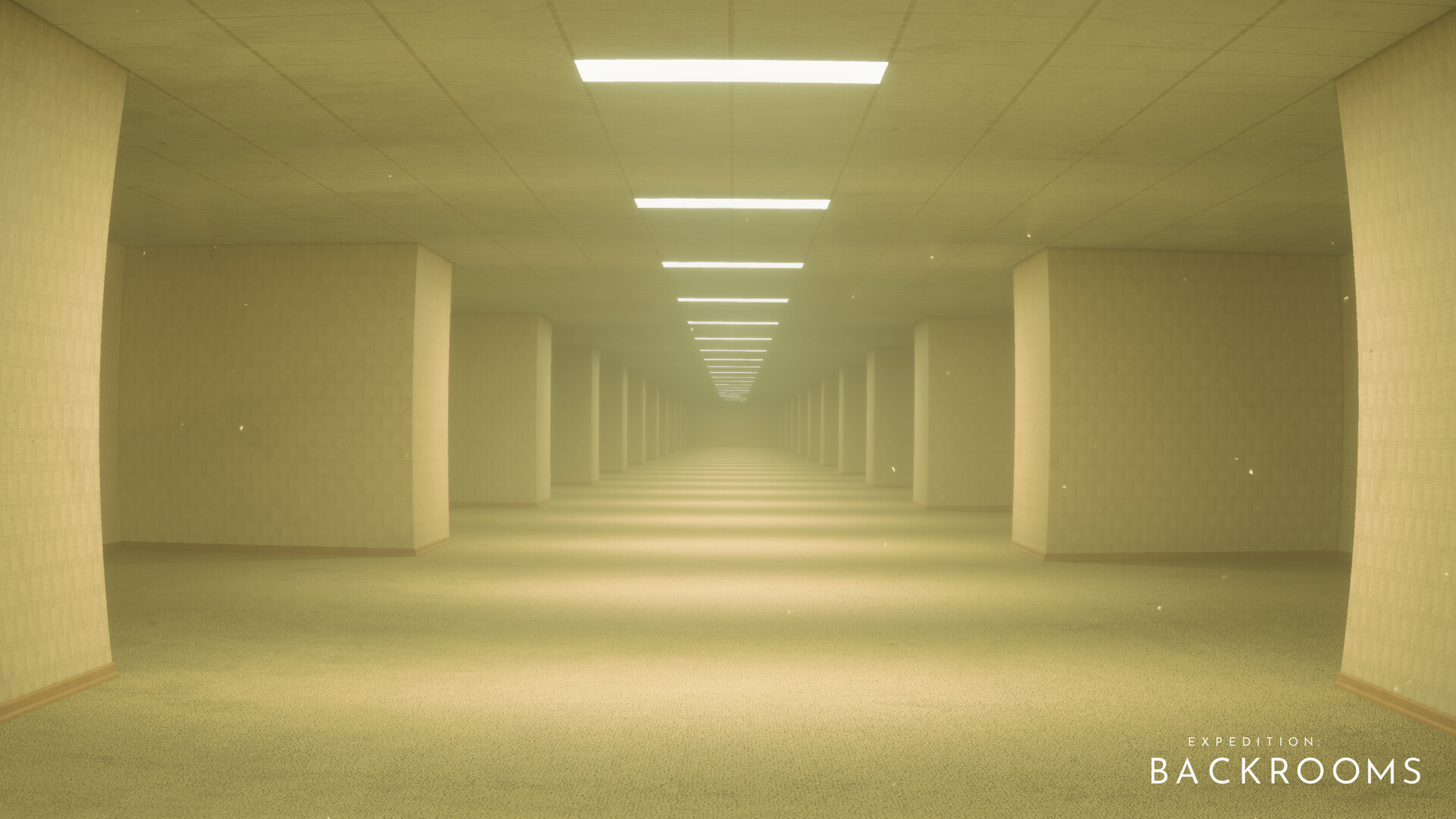 Expedition: Backrooms screenshot 1