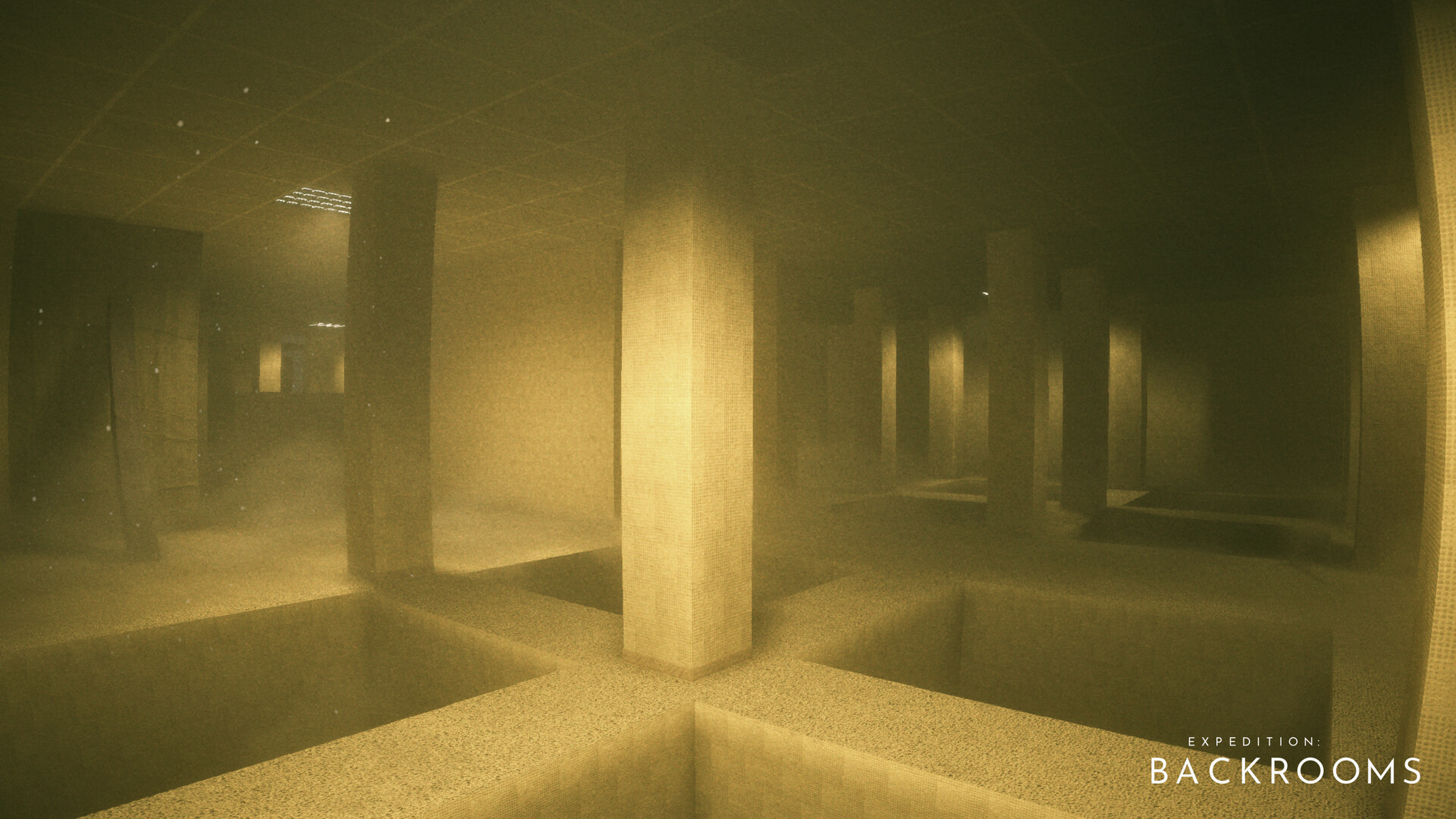 Expedition: Backrooms screenshot 17