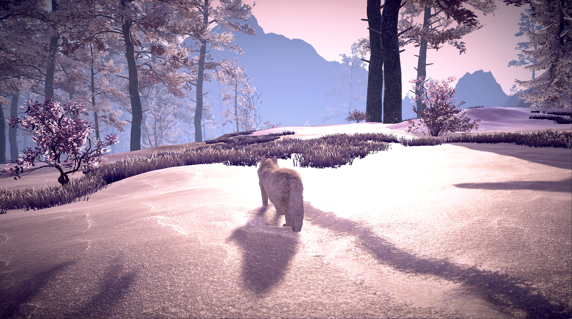 Wolf Survival screenshot 3