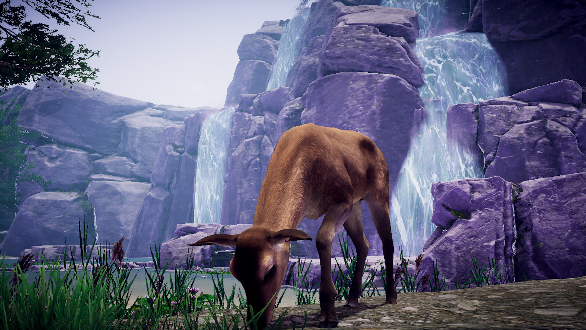Wolf Survival screenshot 2