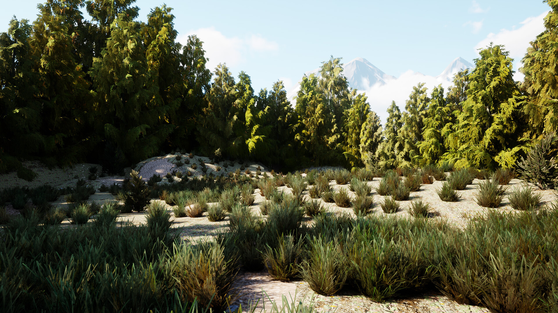 The Cadet Files : Scene Unseen screenshot 4