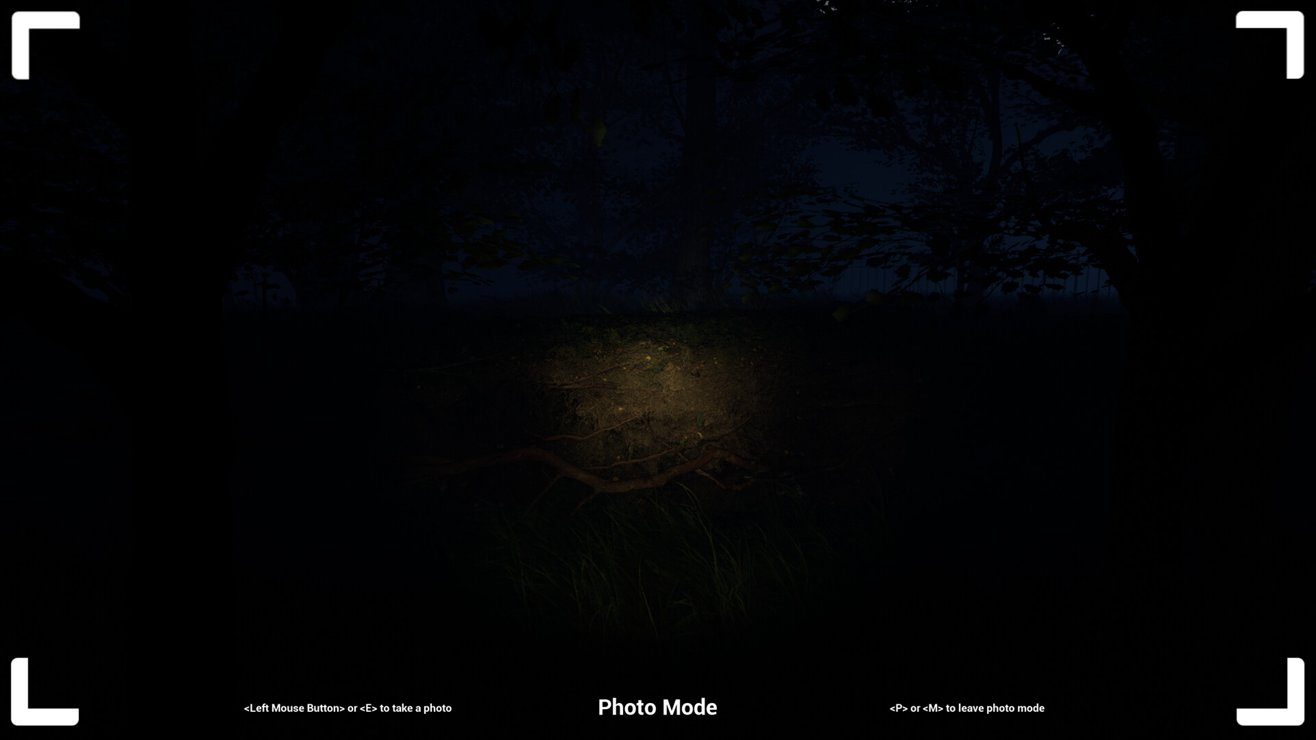 Project Vic screenshot 8