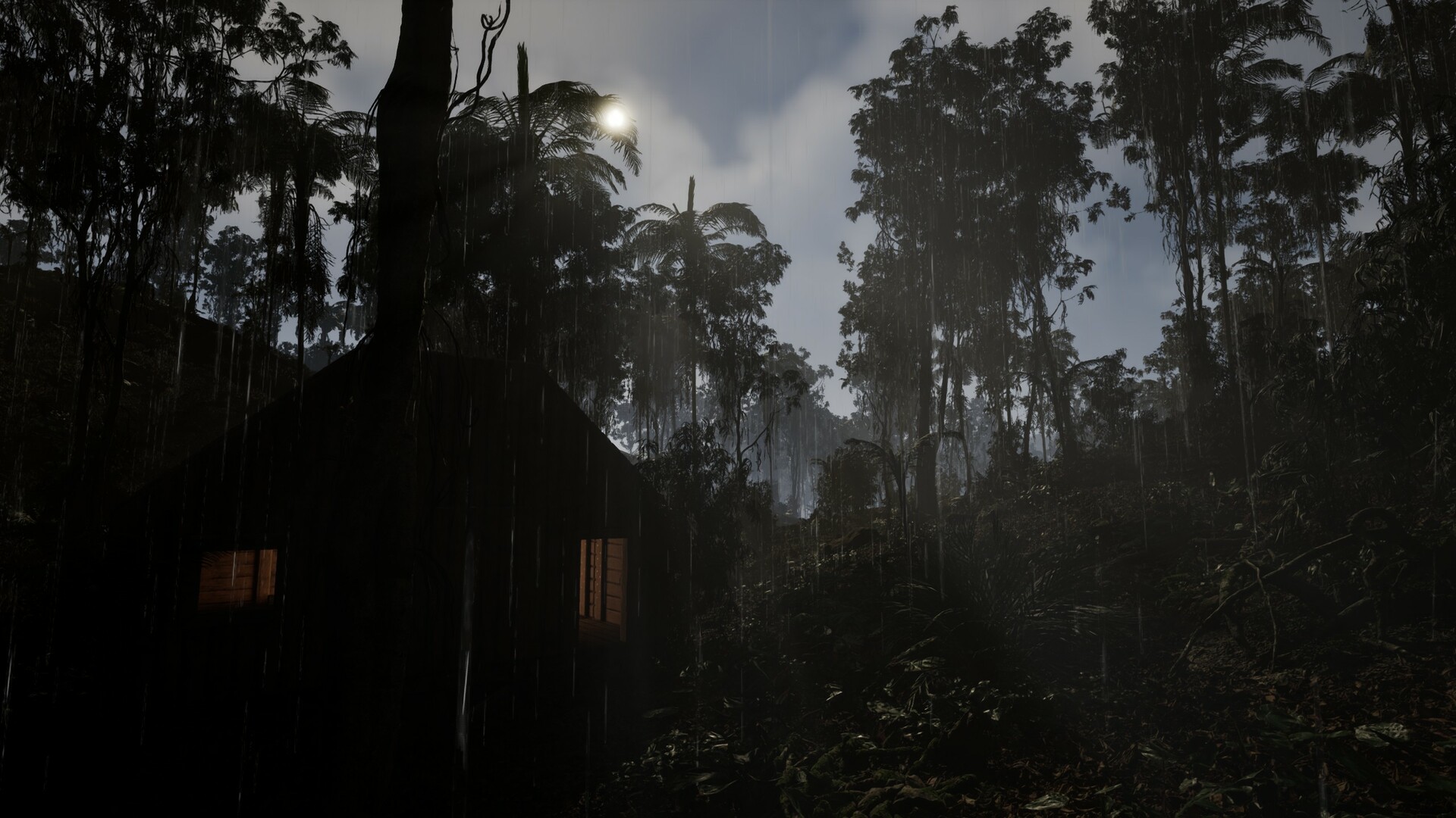 WAIDH screenshot 8