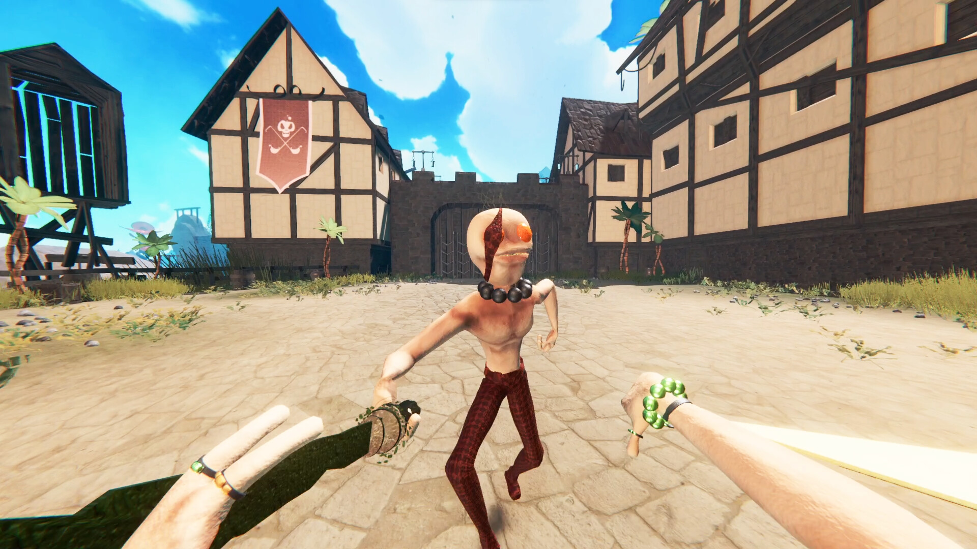 Pirates & Pirater screenshot 1