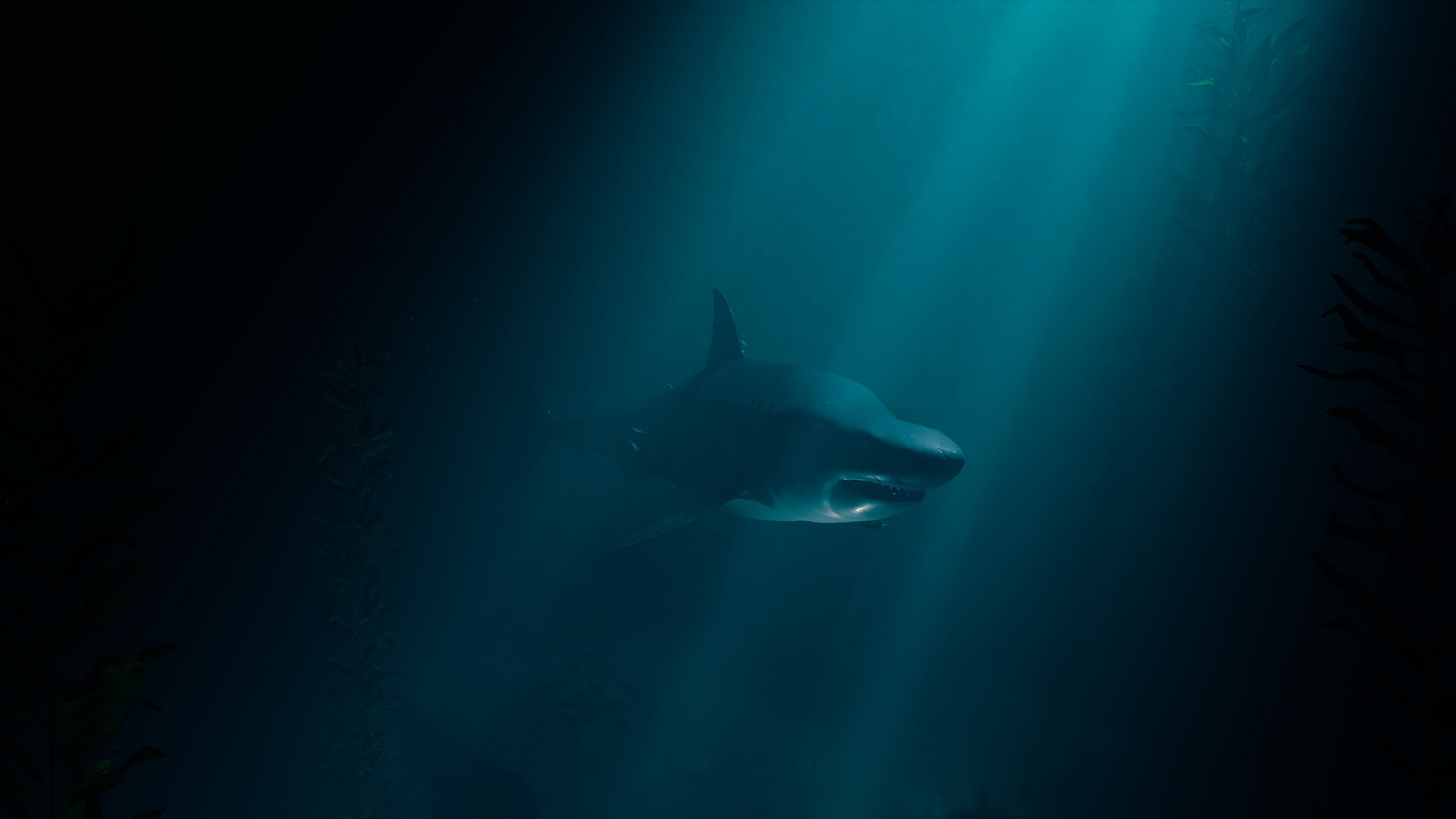 Ocean Gap screenshot 1
